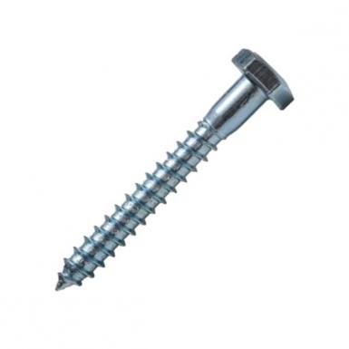 Tornillo Tirafondo 1/4 * 1