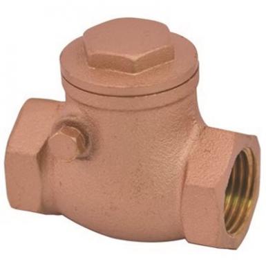 Check Valve 3/4 S/spr #270881