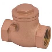 Check Valve 3/4 S/spr #270881