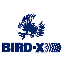 bird x