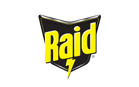 raid