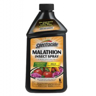 MALATHION INSECTICIDA CONC 32onz