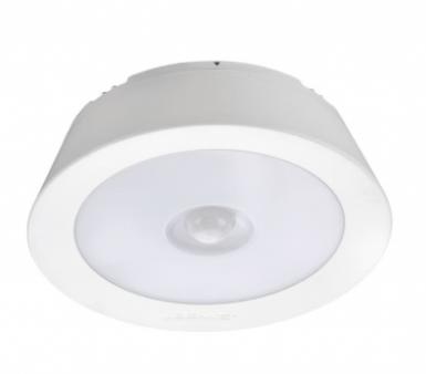 Motion Led Ceiling Light