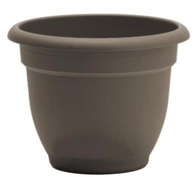 Tiesto 12" Bloem Ariana