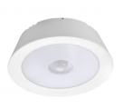 Motion Led Ceiling Light