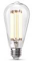 Led Flt St19 E26 Sw100w 2pk