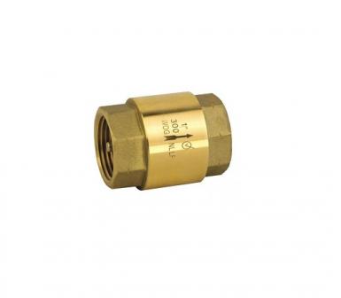 Check Valve 3/4 C/sprin 262042