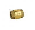 Check Valve 3/4 C/sprin 262042